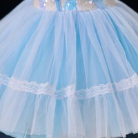 Ballet Tutu jupe princesse paillettes scène Performance Costume gaze gonflée Silhouette taille naturelle robe de danse professionnelle