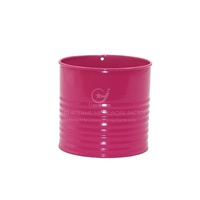 Pot de fleurs en métal de 0,2 gallon pour la maison et le jardin