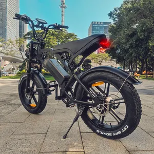 हॉलैंड वेयरहाउस लिथियम बैटरी फैट टायर इलेक्ट्रिक बाइक OEM 48V रियर हब मोटर इलेक्ट्रॉनिक बाइक 1000w इलेक्ट्रिक साइकिल V20