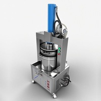 Hydraulische roestvrijstalen druivenpersmachine voor het maken van vruchtensap