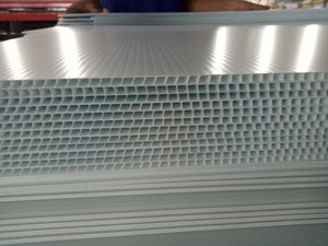 Tùy chỉnh kích thước cho <span class=keywords><strong>PP</strong></span> sóng nhựa Hội Đồng Quản trị với cắt chế biến dịch vụ có sẵn trong Việt Nam - Product Image 6