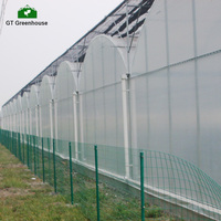 Serre agricole multi-spans en acier galvanisé robuste, fabrication en usine, vente en gros