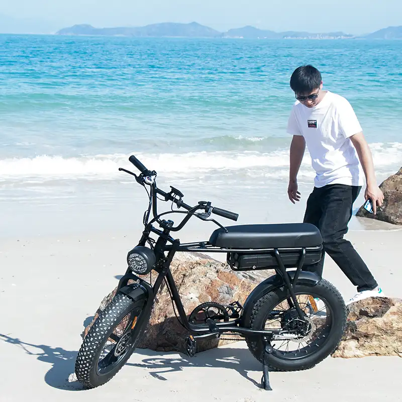 האיחוד האירופי ארה"ב מחסן שומן צמיג חשמלי אופניים מורחב מושב ebike 48v 1000w למבוגרים חוף השכרת דואר אופניים