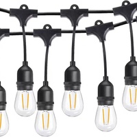 Guirlande lumineuse à filament LED extérieure en PVC 220V, certifiée CE, douille S14 E26 E27, décorations de Noël pour patio, décorations extérieures