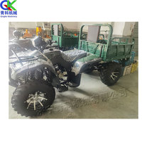 Buggy de plage à essence à quatre roues 250/300cc pour le transport du sable Camion de plage pour agriculteur de transport Buggy de plage à quatre roues