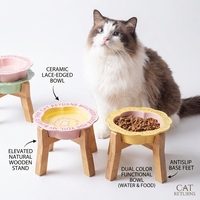Bols en céramique solides portables surélevés pour petits chiens et chats, ensemble de supports inclinés pour aliments et eau, écologiques, pour usage extérieur