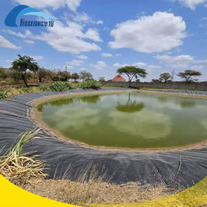 Telo Impermeabile in HDPE/LDPE Nero Africano per Laghetti <span class=keywords><strong>e</strong></span> Dighe, Geomembrana per Agricoltura, Misure Personalizzate - Product Image 5