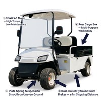 Voiturette de golf électrique Tarion 2 places, moteur AC 3KW, coffre arrière, système anti-recul breveté, 35 km/h, OEM ODM, couleur personnalisée, batterie lithium 48V