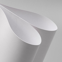Papel de Arte Blanco de Primera Calidad al por Mayor, Revestido por Ambos Lados, en Rollo y Hojas, 210-400 g/m²