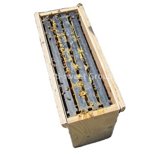 Beekeeping 5 Frames bee boxes wooden queen bee nuc box