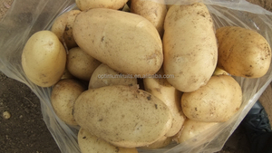 Patata fresca de alto grado de <span class=keywords><strong>verduras</strong></span> orgánicas chinas para exportar - Product Image 5