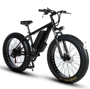 Potente Bicicleta Eléctrica de Neumáticos Anchos de 1000W, Batería de Gran Capacidad de 48V, Doble Freno de Disco, Todoterreno, Playa, Nieve, Montaña - Product Image 1