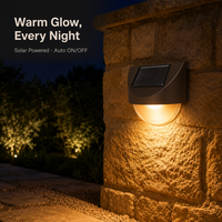 Lampe murale solaire extérieure en plastique, étanche, LED, pour jardin, allumage/extinction automatique, du crépuscule à l'aube, pour clôture, patio, allée, décoration de jardin