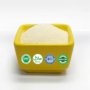 Fabricación de gelatina de calidad alimentaria gelatina bovina hidrolizada comestible queso Halal carne gelatina en polvo u hoja para alimentos y bebidas