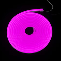 Lampu Neon Fleksibel LED Silikon Campuran 12V 24V Tahan Air IP65 6*12mm untuk Penggunaan Hotel Gulungan 5m Kelas Makanan Garansi 2 Tahun