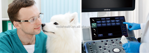 Sistema de Ultrasonido Veterinario Mindray Vetus 5 Nuevo, Sistema de Ultrasonido Veterinario 4D con Carro - Product Image 6