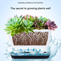 Pots à bonsaï rectangulaires en plastique avec plateau de drainage, pots pour plantes succulentes, pots de culture pour bonsaï, décoration d'intérieur