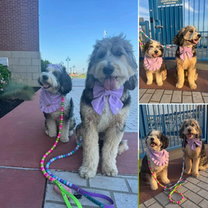 Correa para Perro de PVC Suave, Impermeable, con Cuentas de Goma de Mascar, Diseño Elegante, para Perros Pequeños y Grandes - Product Image 6