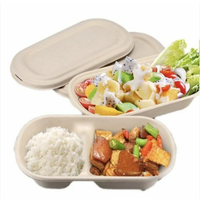 Boîte à lunch compostable en bagasse avec couvercle, boîte bento jetable à 2 compartiments, écologique, biodégradable, recyclable, récipient alimentaire
