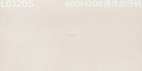 Carrelage en porcelaine blanche de haute qualité Foshan, finition mate, 1200x600 mm, carrelage noir antidérapant pour sol et mur, porcelanato