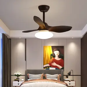 2024 Nieuwe Slimme Plafondventilator Lamp Slaapkamer Restaurant Livingroom Fan Kroonluchter Nordic Led Plafondventilator Hanglamp Lamp-Koop Led