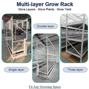 Vertical Grow <b>Rack</b> Flood Trays Double Mobile Hydroponic Growing <b>Rack</b> System <b>for</b> Agricultural Greenhouses 4*8FT Vertical Grow - Product Image 3