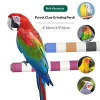 Perchoir à gratter pour oiseaux en fil métallique finition mate, modèle premium, support à gratter pour perroquets