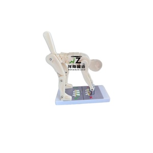 Maniquí de PVC de Tamaño Real para Demostraciones de Levantamiento de Pesas, Modelo Avanzado para Entrenamiento y Aprendizaje de la Columna Vertebral, Ideal para Escuelas - Product Image 2
