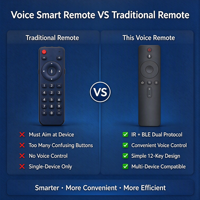 Remote Kontrol Suara Pintar IR BLE Protokol Ganda untuk Pemutar Video, Android TV Box OEM ODM