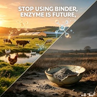 Alternative au liant de mycotoxines, enzymes dégradantes de la toxine Aflatoxine B1, kit de test rapide pour enzymes dégradantes, équipement.