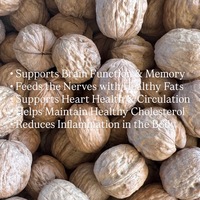 Noix en coque en gros, naturelles, brutes, séchées, de qualité supérieure, à coque fine, en vrac, qualité alimentaire, pour boulangerie, petit-déjeuner et céréales