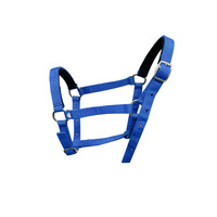 Licol pour cheval en nylon souple et résistant, réglable, avec coussin en mousse