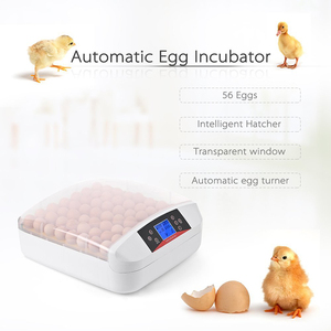 Mini incubateur d'œufs de poulet automatique yz 56s, 4 pièces, lumière LED à haute fréquence d'éclosion - Product Image 5
