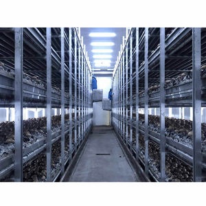 High Quality Aluminum Alloy Button Mushroom Growing Racks Long Service Life Metal <b>Cultivation</b> Shelves For Agaricus Bisporus - Product Image 5