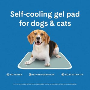 Tapis rafraîchissant pour chien, échantillon gratuit, petit format - Tapis rafraîchissant pour animaux de compagnie activé par la pression, pour chiens et chats, pour animaux de petite taille - Gel non toxique - Product Image 3