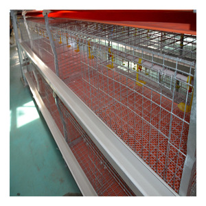 Allevamento familiare uso zincato strato vivo <span class=keywords><strong>gallina</strong></span> pollame <span class=keywords><strong>pollo</strong></span> <span class=keywords><strong>gallo</strong></span> gabbia casa - Product Image 2