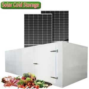 Chambre froide solaire Salle de congélation Unité de chambre froide à énergie solaire pour la viande, les fruits, les légumes et les fruits de mer Système d'énergie