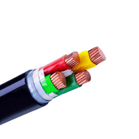 0,6/1kv Cable de alimentación eléctrica de bajo voltaje Yjv Yjv22 Yjv23 Yjlv Yjlv22 Yjlv23 Bbtrz Bttrz Jklyj Jklgyj Xlpe Conductor de cobre