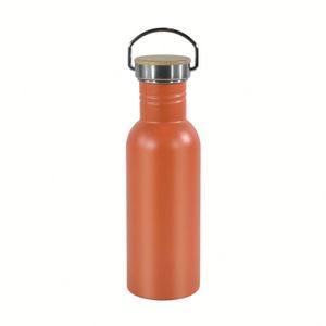 Botella de Agua Deportiva de Acero Inoxidable de Pared Simple con Recubrimiento en Polvo de 750 ml, con Tapa de Boca Pequeña y Asa, Personalizable con Logotipo, Venta al Por Mayor - Product Image 1