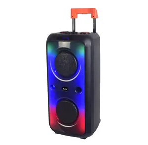 40W Outdoor Portable Party Trolley Speaker with Double 8 Inch Sub-woofers Stereo Sound System