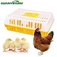 GUANYI FARM Nueva Cesta de Transporte de Plástico para Aves de Corral, Jaula para Gallinas Ponedoras/Patos/Gansos Adultos