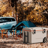 Offre Spéciale 50L extérieur Portable refroidisseur Transport boîte de rangement conteneur réfrigérateur glacière