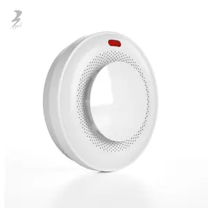 High Quality Wireless Detectors Vapes Detector Mini Smoke Alarm 10 Years For Home Security