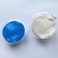 Kit de moulage dentaire en silicone, pâte d'empreinte blanche et bleue 20g/25g, haute qualité