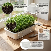 Kit de culture de légumes en céramique, germeur de graines, plateau de démarrage de plantes, plateau de culture de micro-légumes avec trous de drainage, revêtement époxy