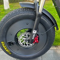 Moteur sans balais 3 vitesses 3000W pour vélo électrique américain, batterie lithium 50AH, suspension réglable, pneus larges Black Warrior