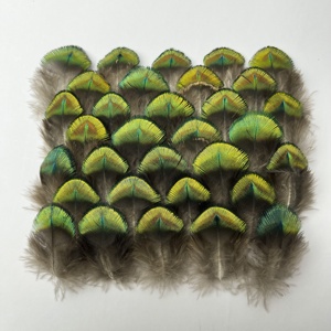 <span class=keywords><strong>Plumes</strong></span> de paon naturelles, <span class=keywords><strong>plumes</strong></span> de paon dorées, <span class=keywords><strong>plumes</strong></span> de paon bleues, <span class=keywords><strong>plumes</strong></span> de paon en vrac - Product Image 5