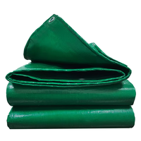 Rouleau de bâche en polypropylène enduit, tissu tissé, imperméable, protection UV, utilisation extérieure, taille personnalisable