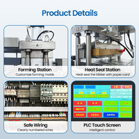 Tam Otomatik PVC Alu Folyo Blister Paketleme Makinesi, Peynir, Çikolata, Yumurta, Tereyağı, Lolipop ve Gıda Paketleme için Isı Yalıtımlı