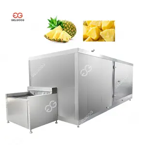 Frozen Vegetable And Fruit Pineapple Production Line Machinery Cartoning Machine Automatic Frozen Food